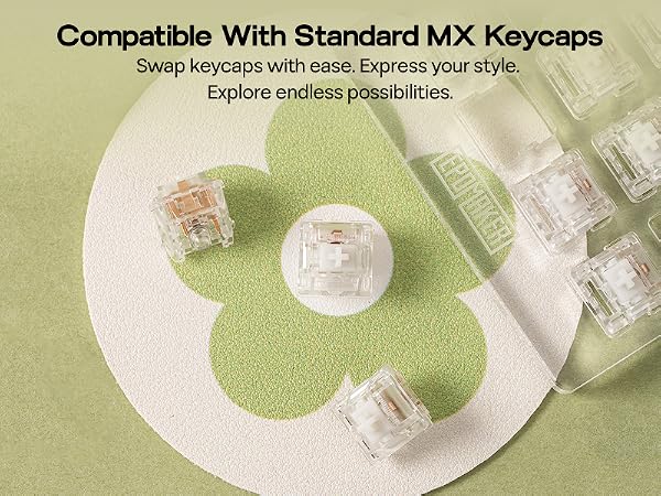 EPOMAKER Crystal Switch