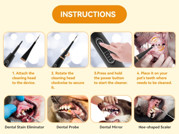 dog teeth cleaning kit