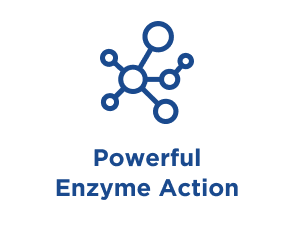 Powerful Enzyme Action