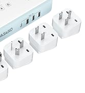 Voltage Converter Adapter Combo