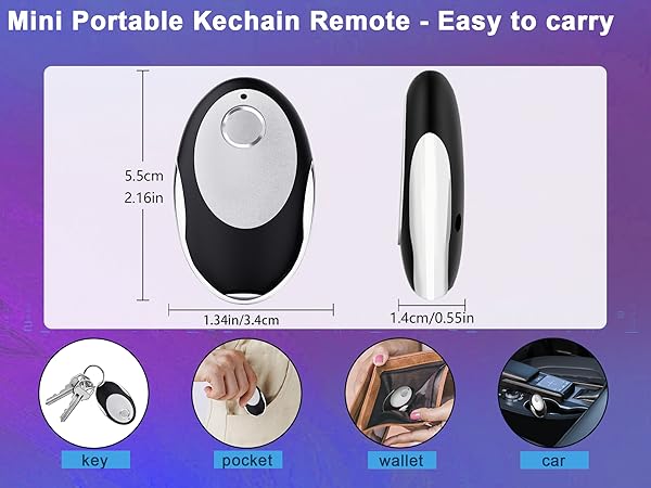 chamberlain keychain