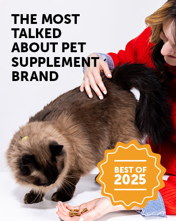 cat supplements