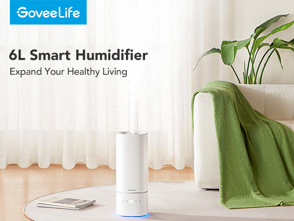 6L Smart Humidifier