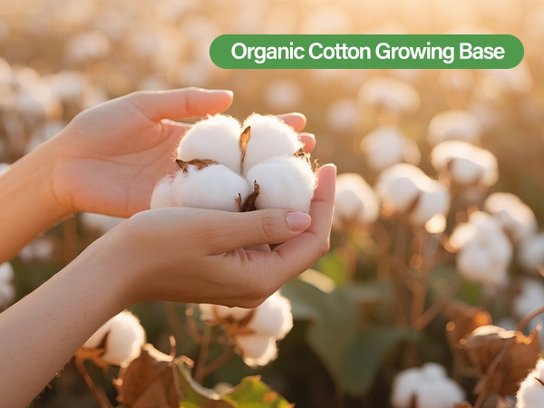 Organic Cotton Growing Base