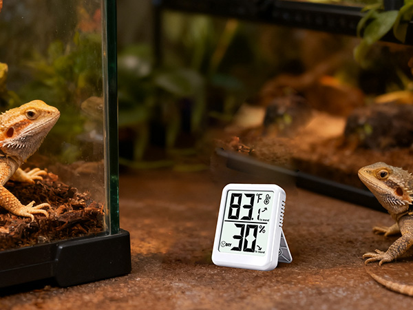 Room Thermometer Indoor