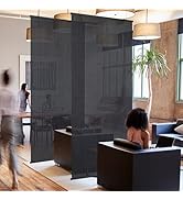 DECOLAB Hanging Room Divider, Sheer Fabric Ceiling Suspended Screen Panels for Office, Studio Apa...