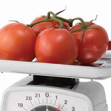 Taylor best mechanical scale cooking baking kitchen home pounds ounces kilograms grams restaurant