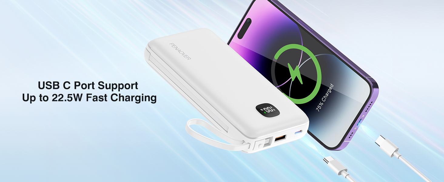 power bank type C