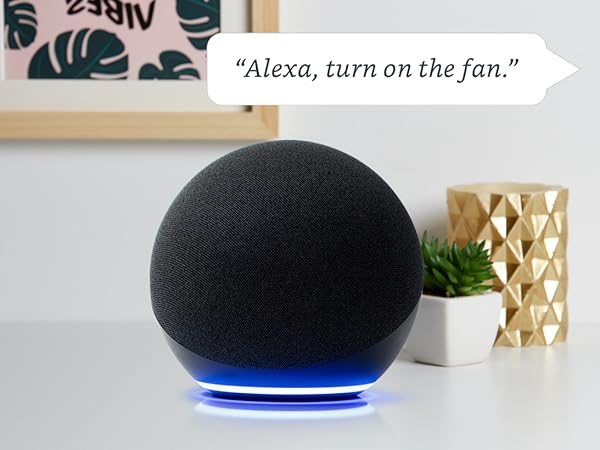 Electrical Outlet Switches Power Strips