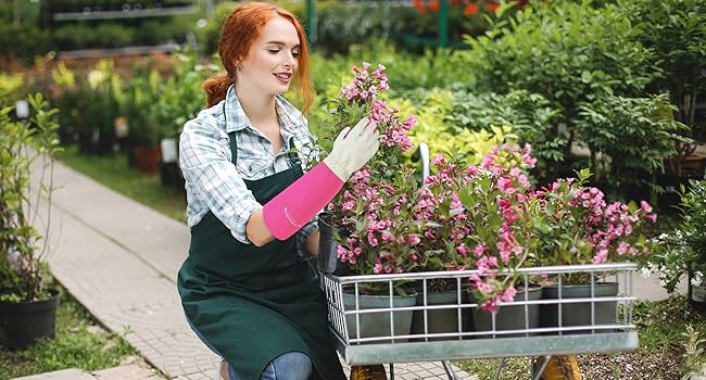 Rose Pruning Gardening Gloves for Men &amp;amp;Women, Thornproof Long Gauntlet Gloves, Pigskin Leather