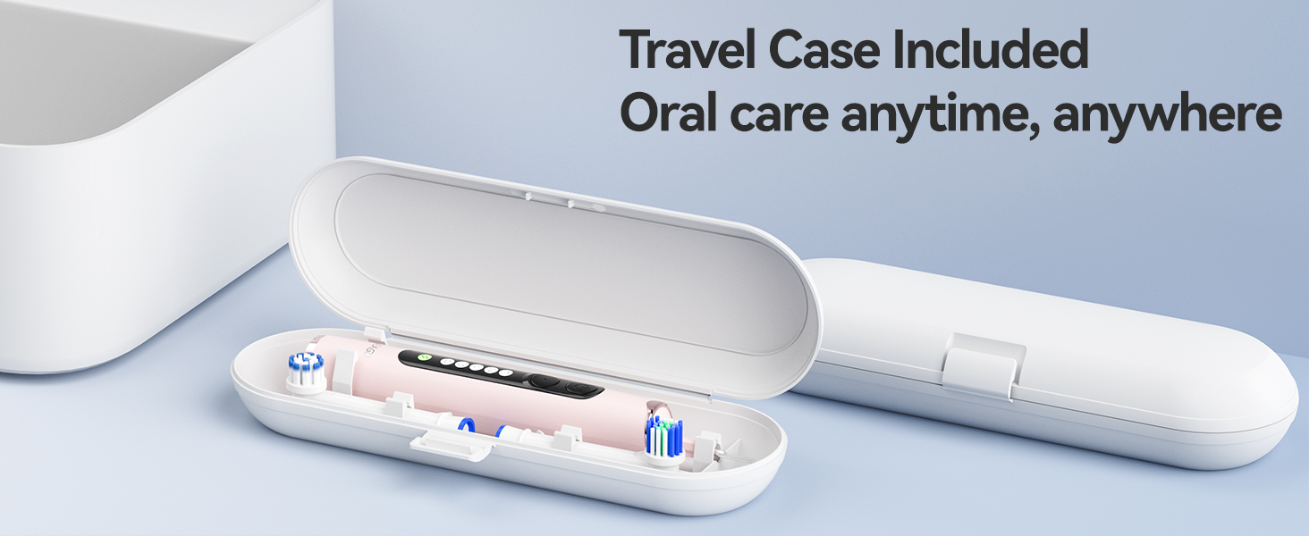 spin toothbrushes travel case