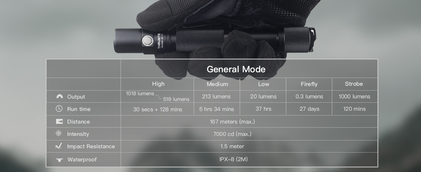 SPECIFICATION