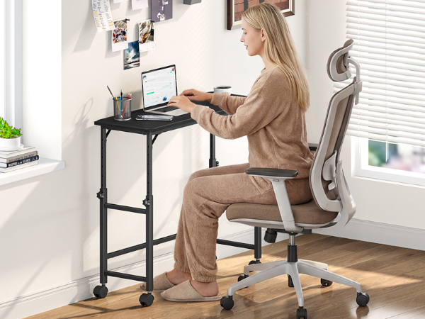 Mobile Stand Up Desk