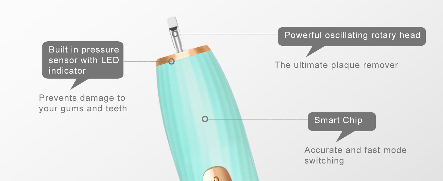 Rechargeable Toothbrush