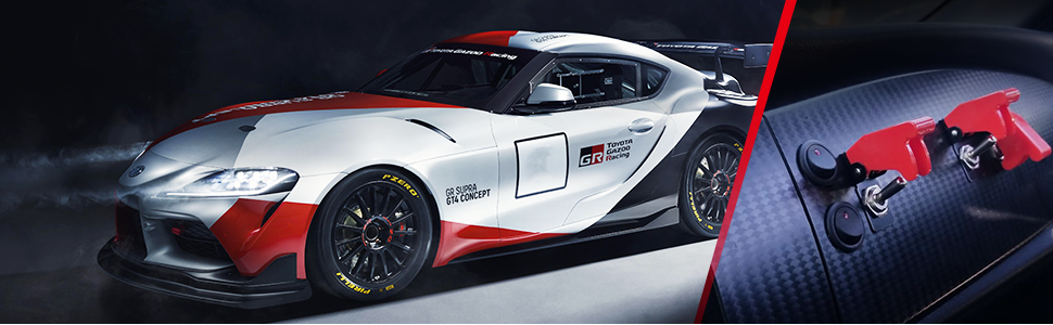 Rocker Toggle Switch