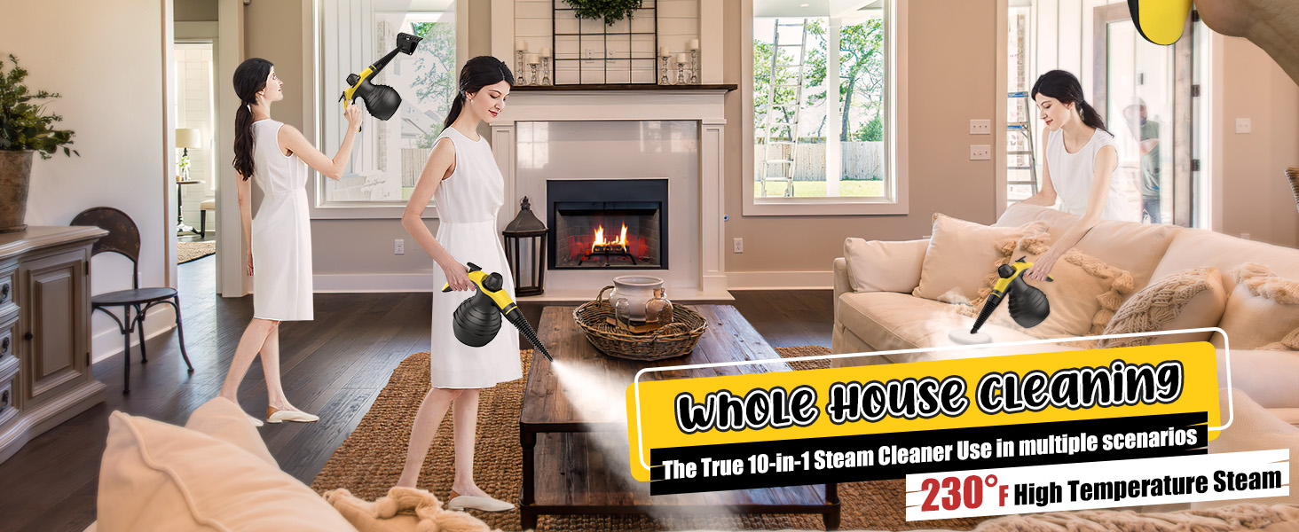 Handheld Steam Cleaner