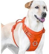 Sunraymascota No Pull Dog Harness, Reflective Puppy Vest for Small Medium Large Sized Dog(Orange,M)