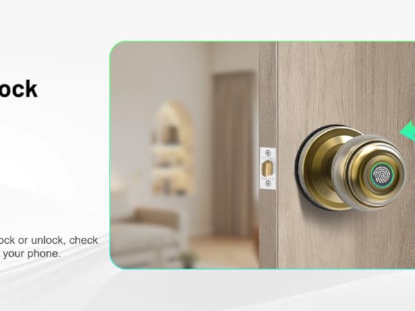 Fingerprint Smart Door Lock