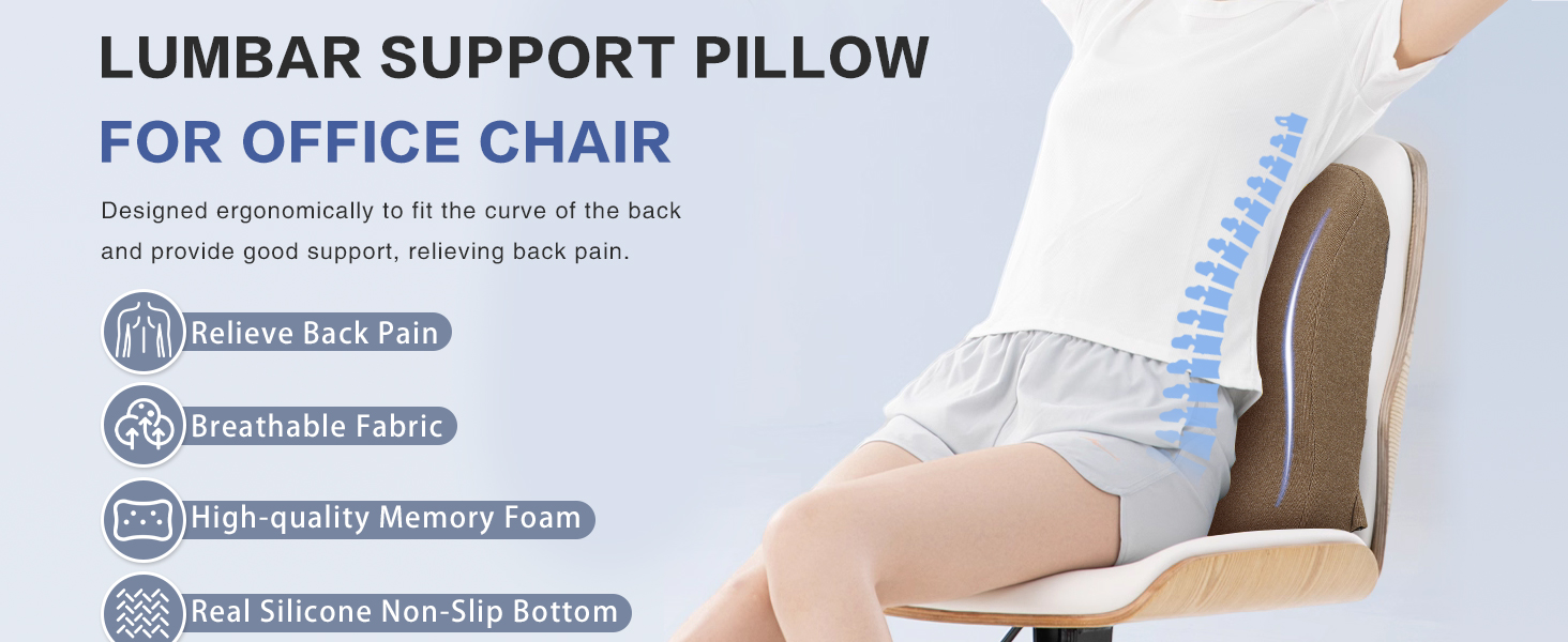 back support pillow