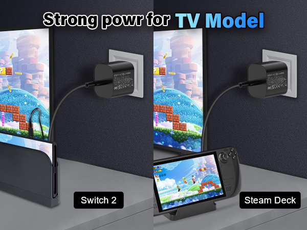 switch 2 charger 60W