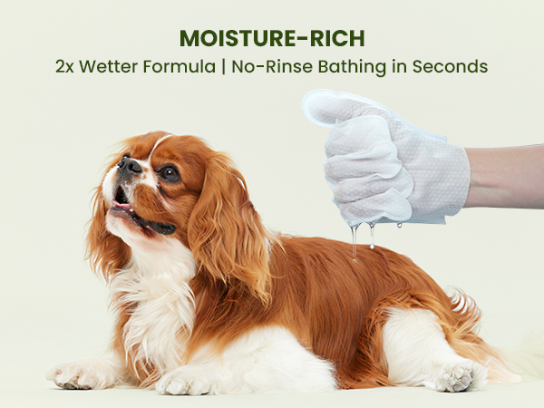 dog wipes