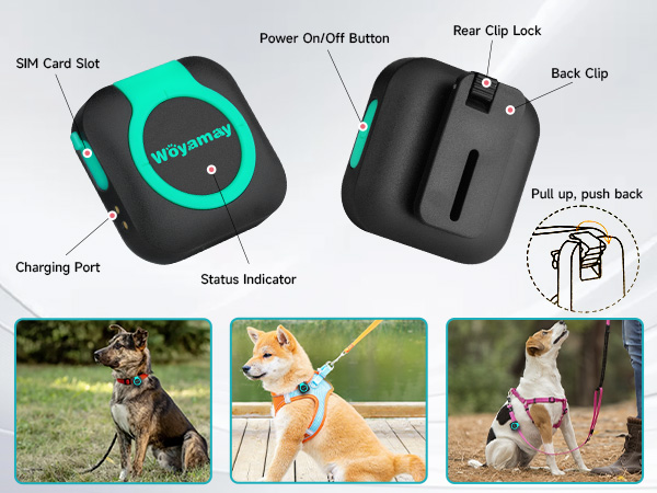 gps dog tracker