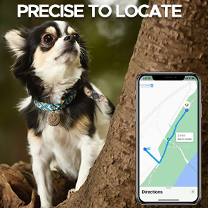 GPS Tracker for Dogs