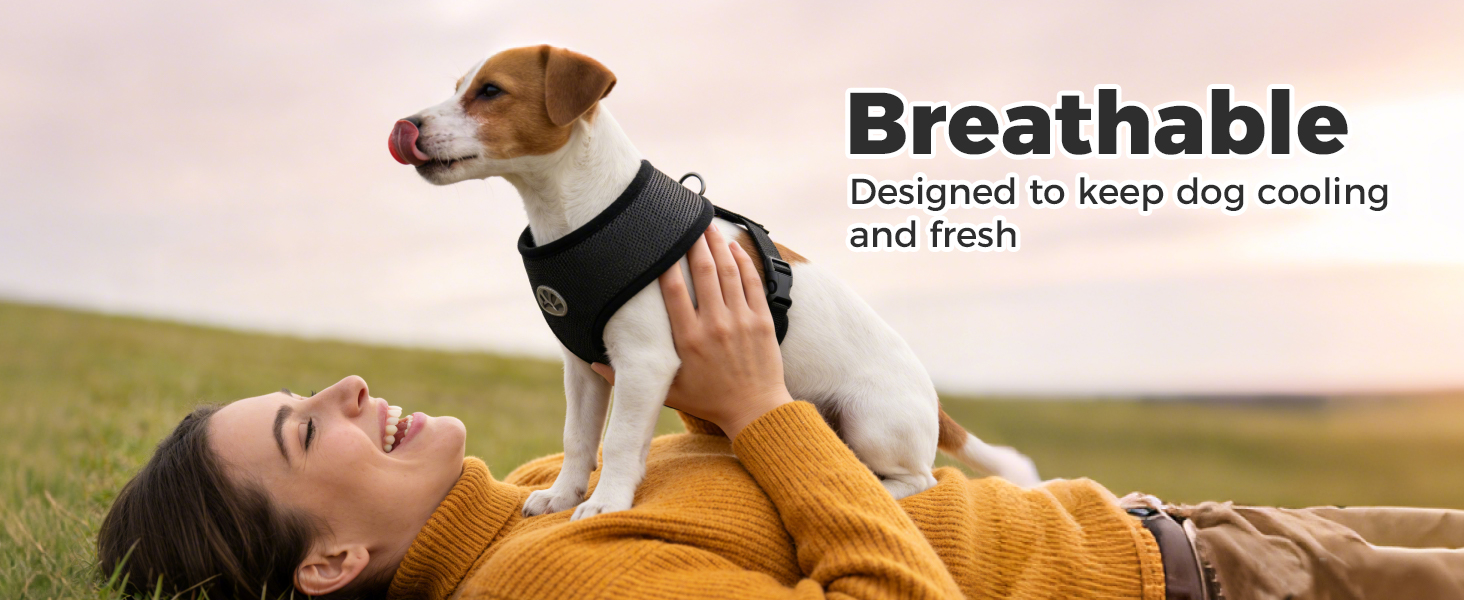 dog harness small sized dogs