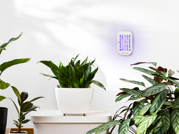 bug zapper
