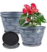Nooulap Plant Planters Pots Set of 3 Pack 10.5 Inch Plant Pots, Plastic Flower Pot for Indoor Pla...