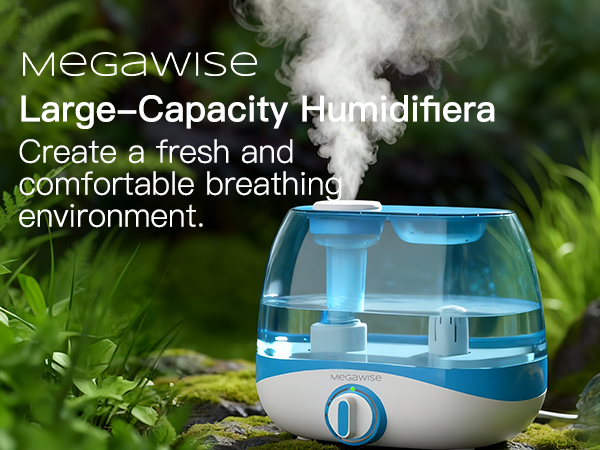 Humidifier for bedroom
