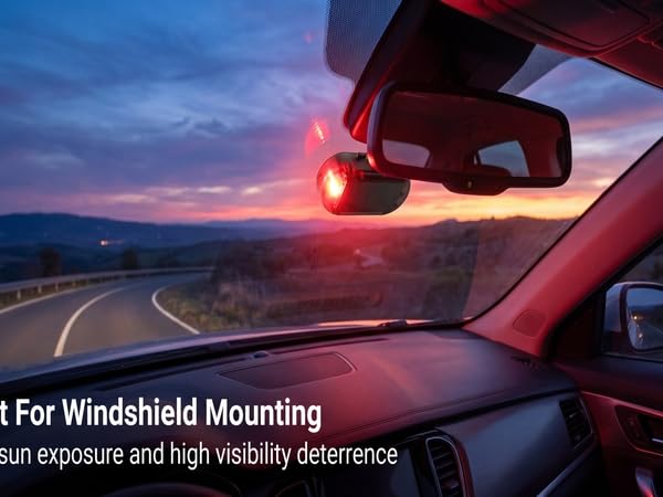 dummy security light for car