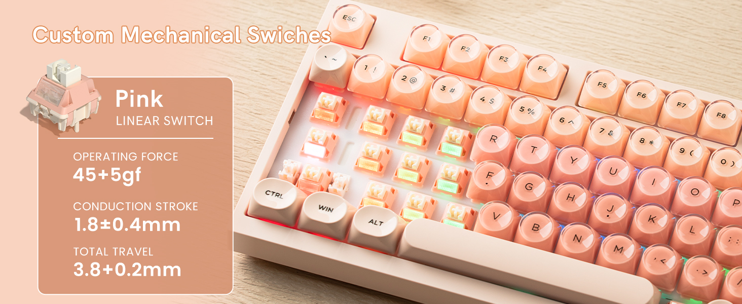 Custom Mechanical Swiches
