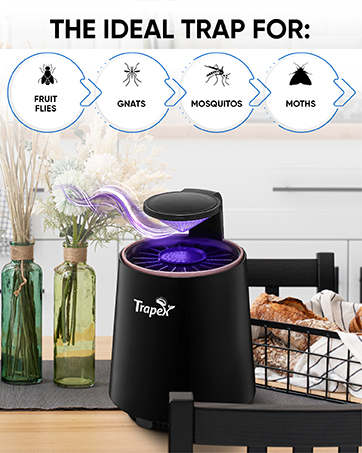 japanese beetle traps outdoor indoor bug zapper bug zapper indoor catch cetch katch trap katchy 