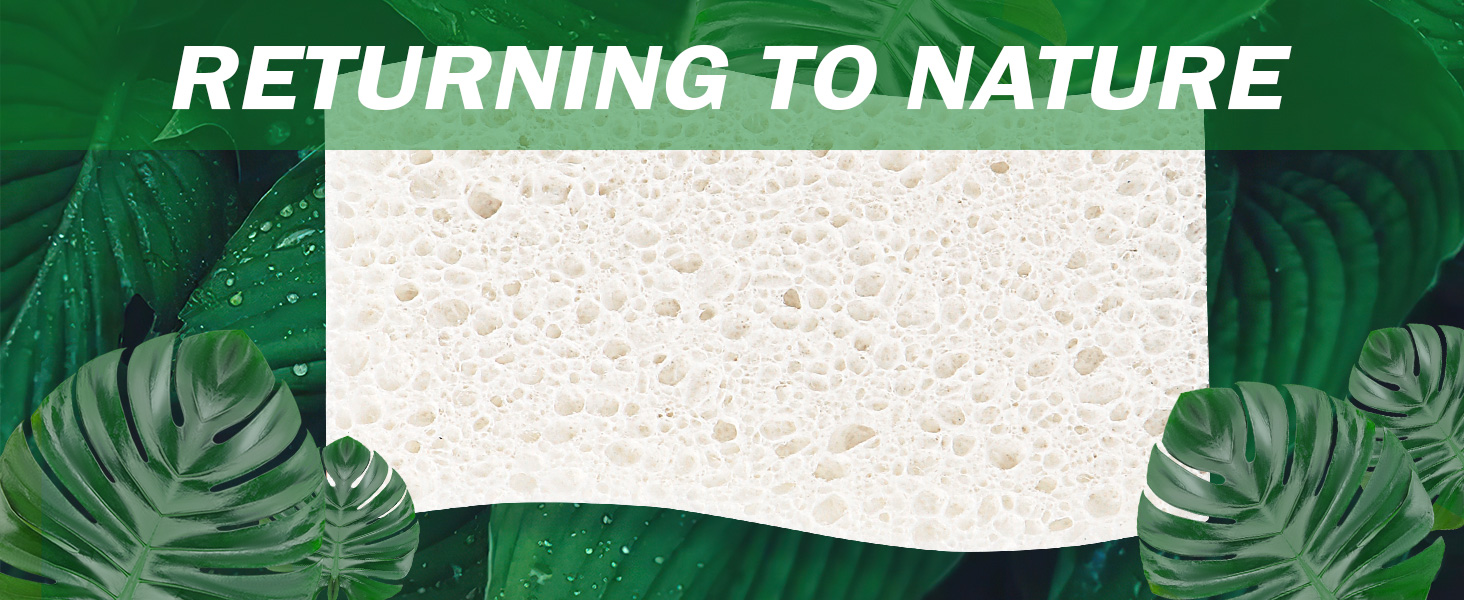 Natural Sponge