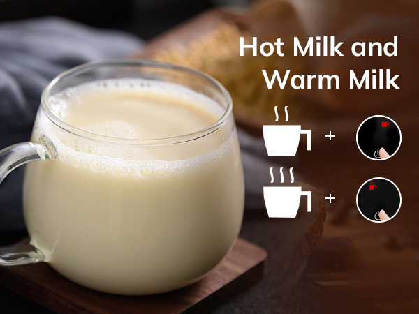 Stainless Steel Electric Milk Frother and Steamer