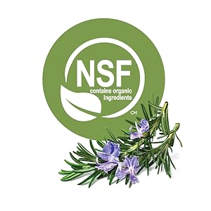 NSF symbol
