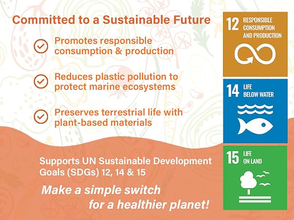 UN Sustainable Development Goals SDGs