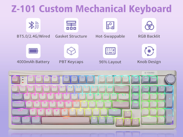custom Mechanical Keyboard