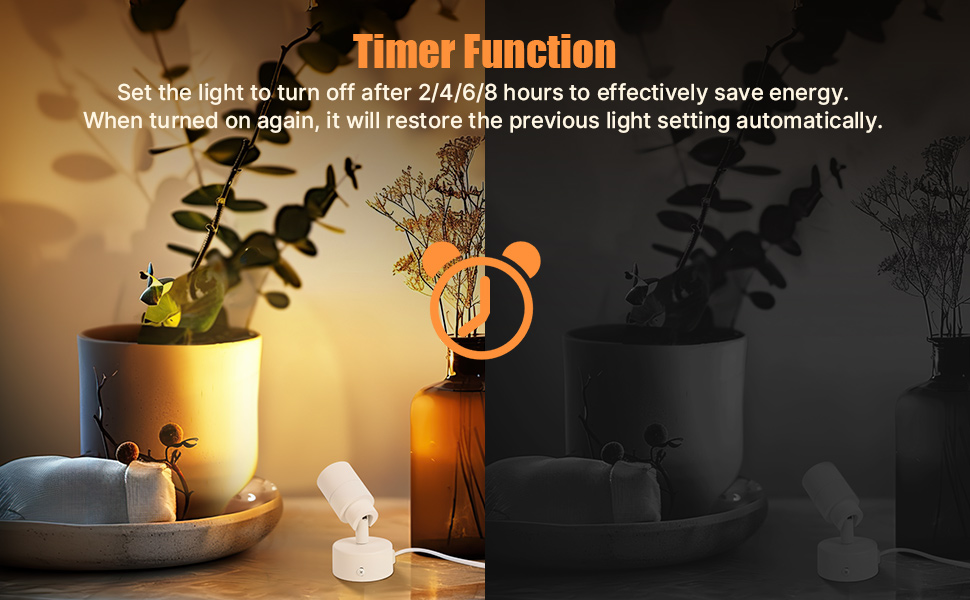 spot lights indoor timer