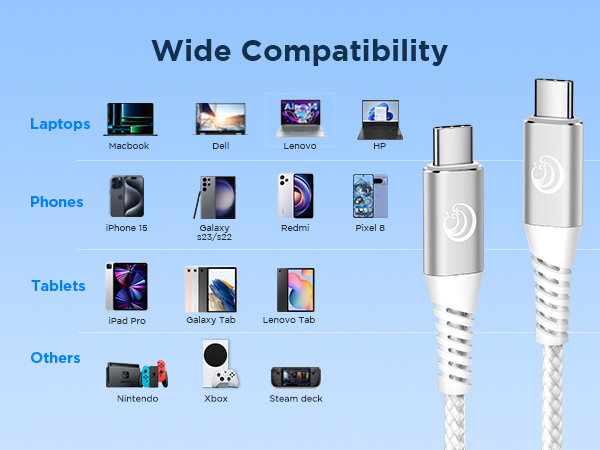 C to C charging cord