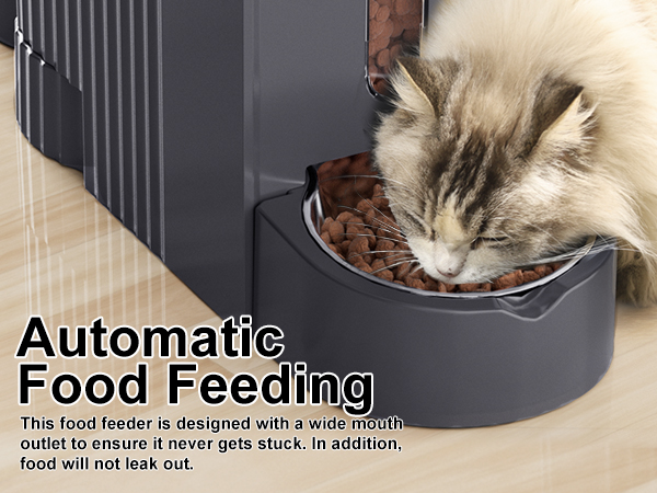 cat automatic feeder