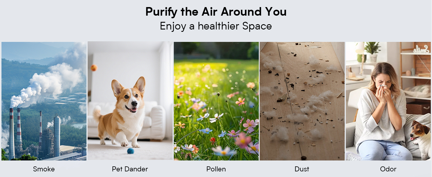 air purifiers for home pets