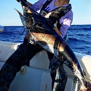 tuna fishing
