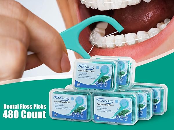 Alosalut PepperMint Dental Floss Picks 480 Count