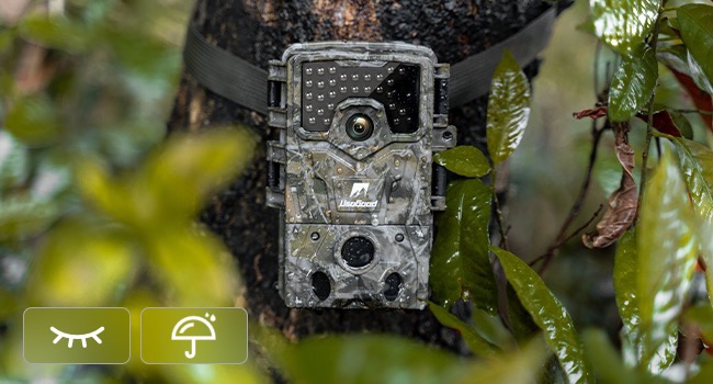 IP66 Waterproof trail camera is suitable for all climates and resistant to snow rain frost dust