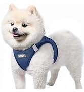rabbitgoo Small Dog Harness, Step-in Soft Mesh Puppy Vest with Safety Buckle, Breathable Reflecti...