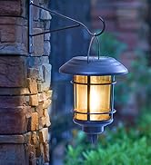 Solar Lights 6 Pack