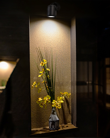 spot lights indoor