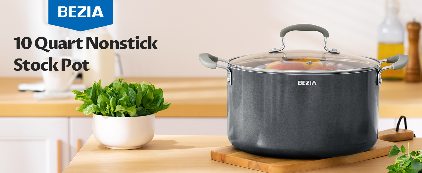 10 quart pot with lid
